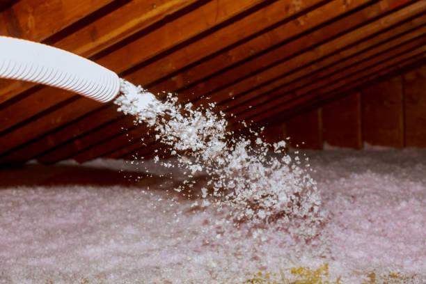 Types of Insulation We Offer in Citrus Park, FL