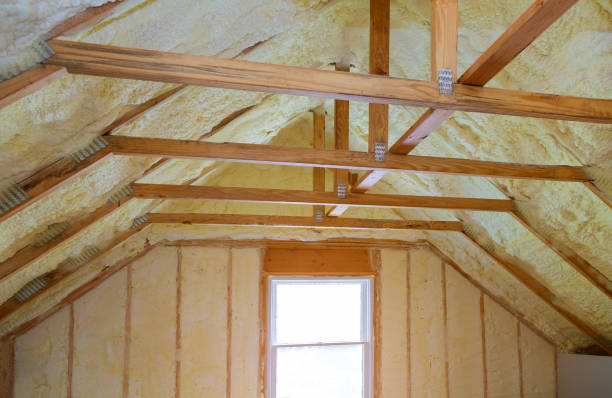 Best Insulation Maintenance and Repair in Citrus Park, FL