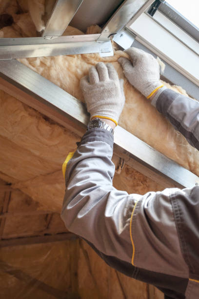 Best Geographic-Specific Insulation Services in Citrus Park, FL
