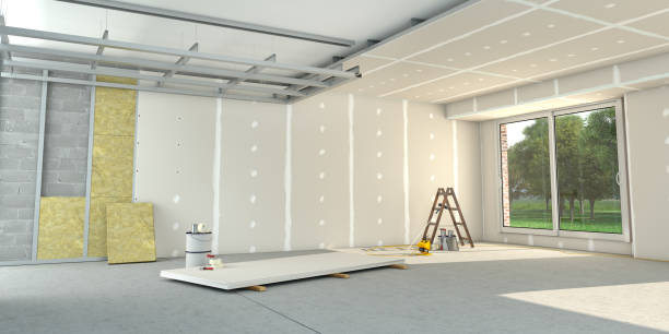 Best Eco-Friendly Insulation in Citrus Park, FL