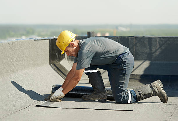 Best Specialized Insulation Services in Citrus Park, FL