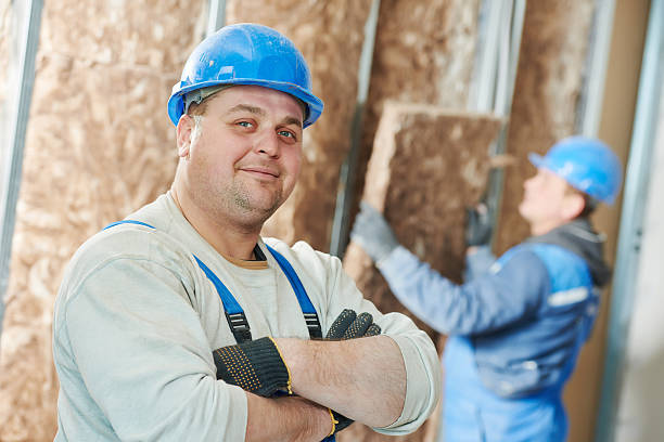 Best Cellulose Insulation in Citrus Park, FL