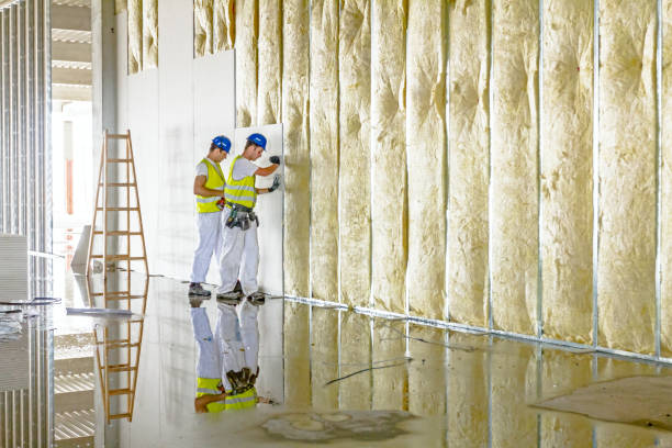 Reliable Citrus Park, FL Insulation Contractor Solutions